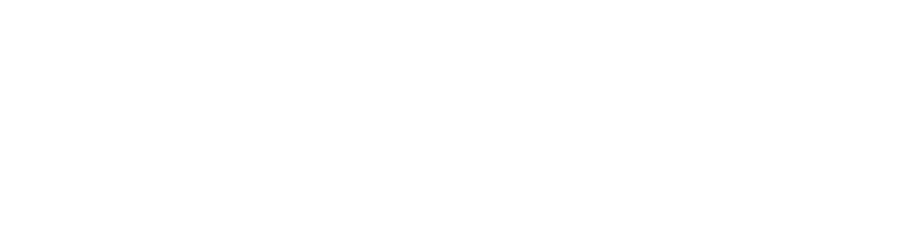 Asset 1